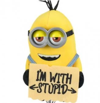 Jucarie de plus XPRESS SALES®, Stupid  ,Minion 