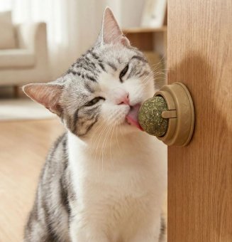 Jucarie Pisici - Sfera din Iarba matei catnip, spate Adeziv, Auriu
