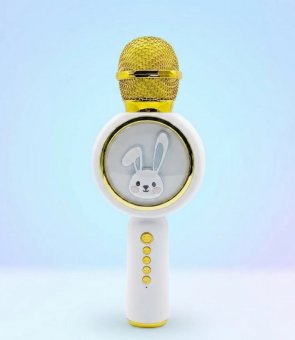 Microfon Karaoke pentru Copii, Bluetooth, Lumini RGB, Efecte de Voce, USB și MicroSD