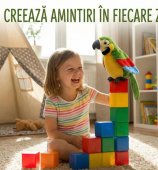 Papagal Vorbitor de Jucărie - Multicolor, Pufos, cu Funcție de Repetare