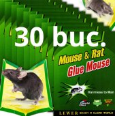 Set De 30 De Bucati Capcana Cu Lipici , Pe Carton Pentru Rozatoare,  Tip Carte, Cu Lipici Pentru Soareci, Tip Carte Pentru Soareci, Sobolani, Rozatoare, Muste